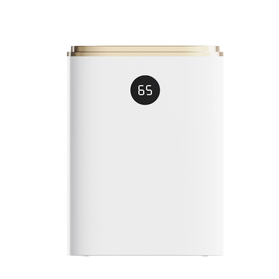 comprare Purificatore d'aria e deumidificatore per la casa fabbricazione online