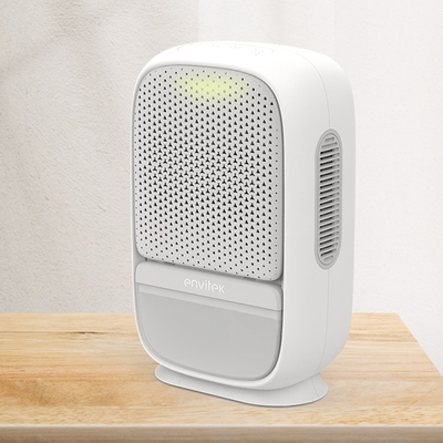 comprare Deumidificatore termoelettrico Peltier Purificatore d'aria 2 in 1 con prefiltro lavabile fabbricazione online
