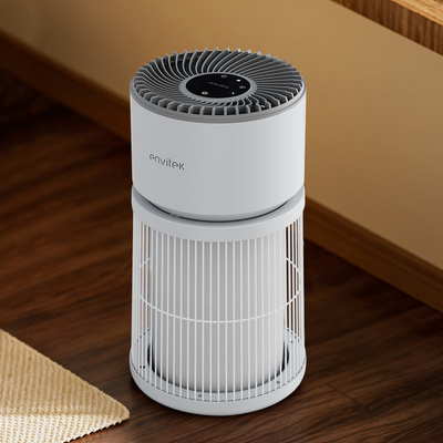 comprare Nuovo Disegno Pulizzatore 3 in 1 True HEPA Filter Purificatore d'aria per animali domestici fabbricazione online