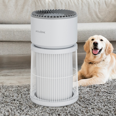 comprare Purificatore d'aria per animali domestici in offerta per allergie e peli in camera da letto fabbricazione online