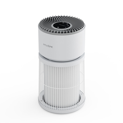 ODM VOC Hepa Pet Air Purifier per spore di muffe certificato ROHS