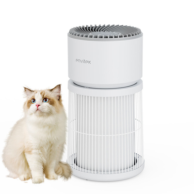 Purificatore d'aria a carbonio attivo Hepa per filtrare gli allergeni