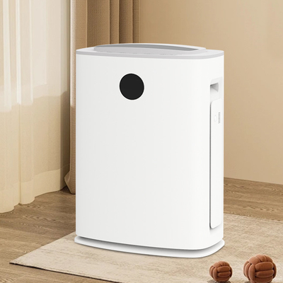 Particelle di polen fumo Purificatore d'aria Umidificatore deumidificatore 2 In 1 750W
