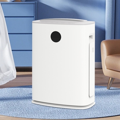 Purificatore d'aria Hepa silenzioso Deumidificatore Purificatore d'aria 2 IN 1 Apparecchi domestici